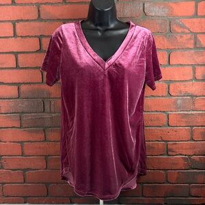 Amaryllis Women's Small Velvet V-Neck Short Sleeve Shirt – Casual, Luxe‎